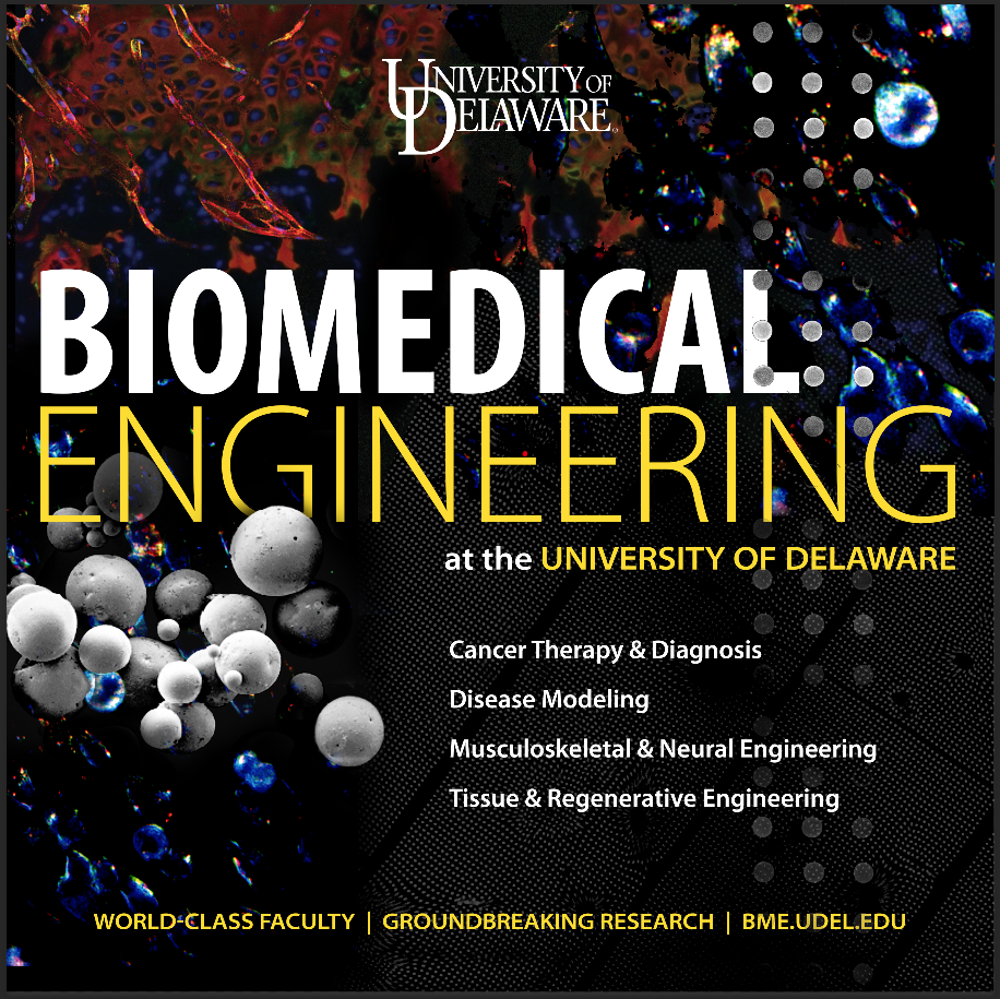 Research Areas | Biomedical Engineering