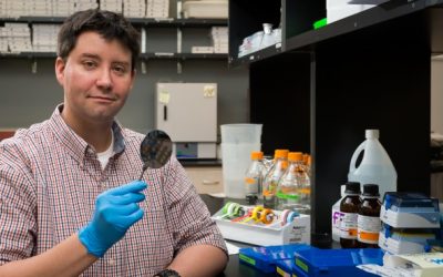 Gleghorn named BMES Rising Star
