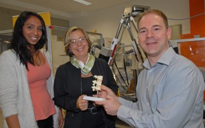 International collaboration lays foundation for therapies to improve musculoskeletal function