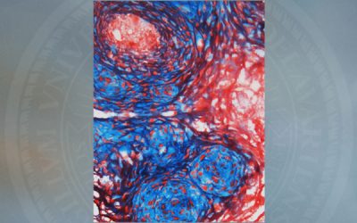Elliott published in Nature Materials
