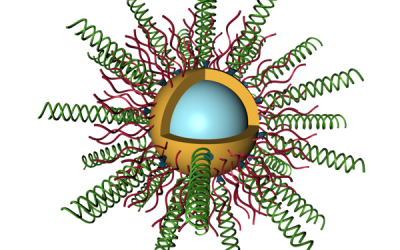 Postdoctoral Researcher Position
