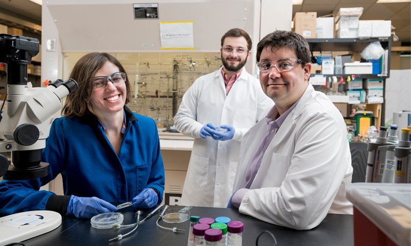 UD assistant professor Jason Glegorn (right) has received a National Science Foundation CAREER award to study how different immune cells and drugs travel through and interact in the lymph node. Pictured with Gleghorn are doctoral students in his lab, Jasmine Shirazi (left) and Michael Donzanti (center).