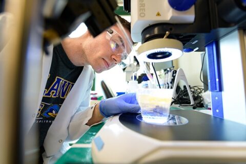 Undergraduate Program | Biomedical Engineering