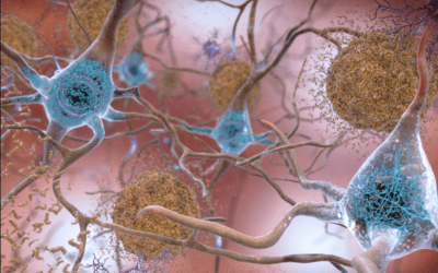 Targeting immune dysfunction in neurological diseases